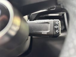 
										Renault Austral E-Tech Full 200 Techno full									
