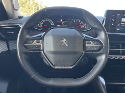 
										Peugeot 2008 BlueHDi 110 Active Pack full									